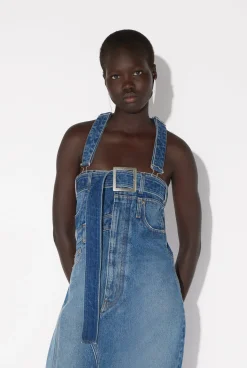 The Denim Overall Dress